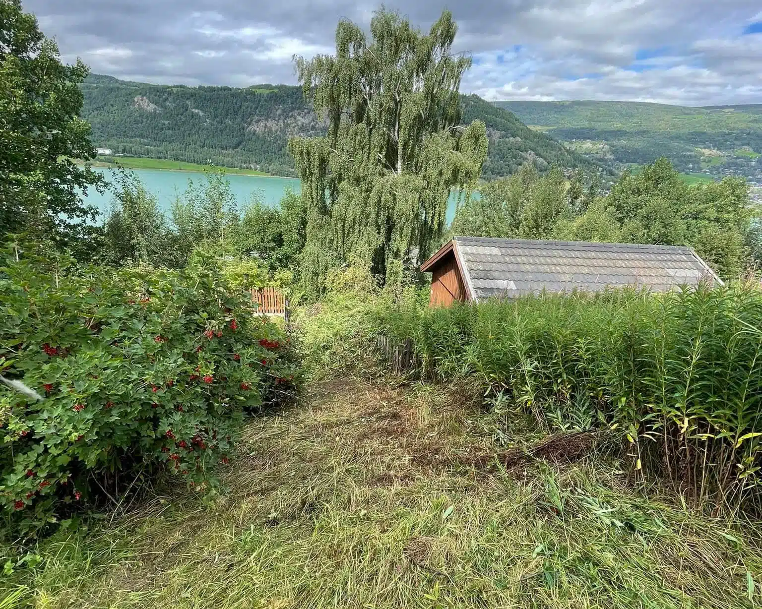 rydding-av-hage-vaktmestertjenester-1